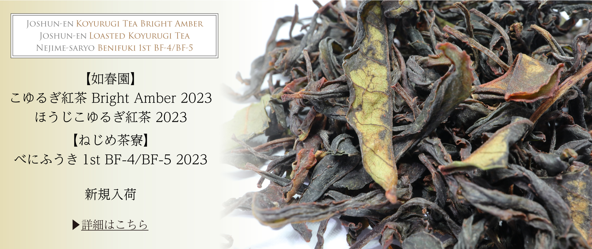 2023年度和紅茶の新茶リリース