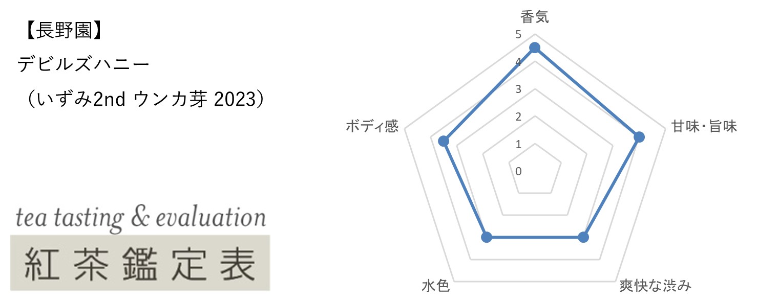 【長野園】デビルズハニー（いずみ2nd ウンカ芽 2023）