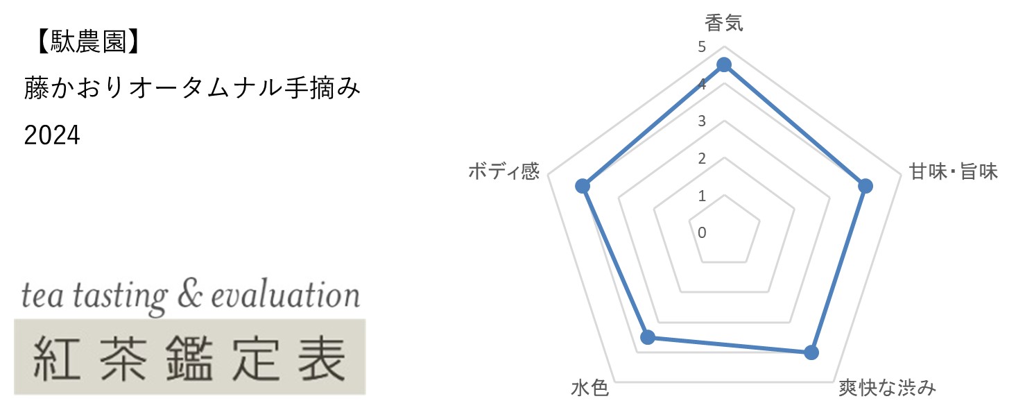 【駄農園】藤かおりオータムナル手摘み　2024