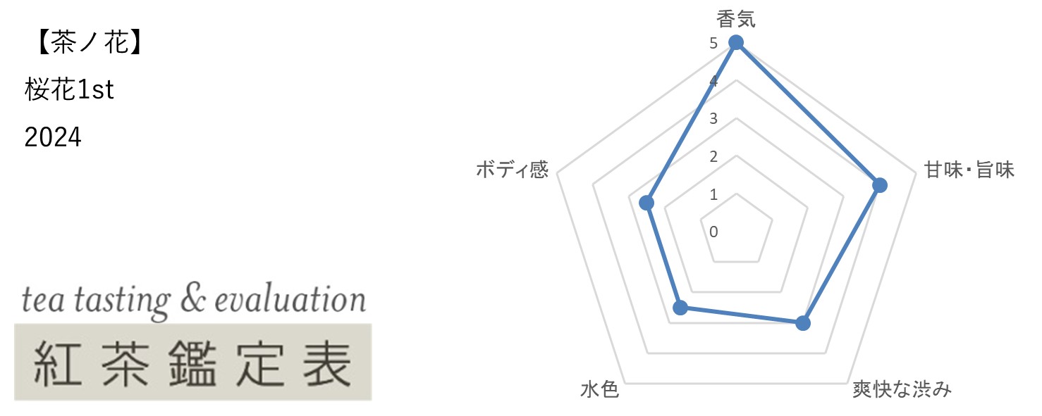 【茶ノ花】桜花1st　2024