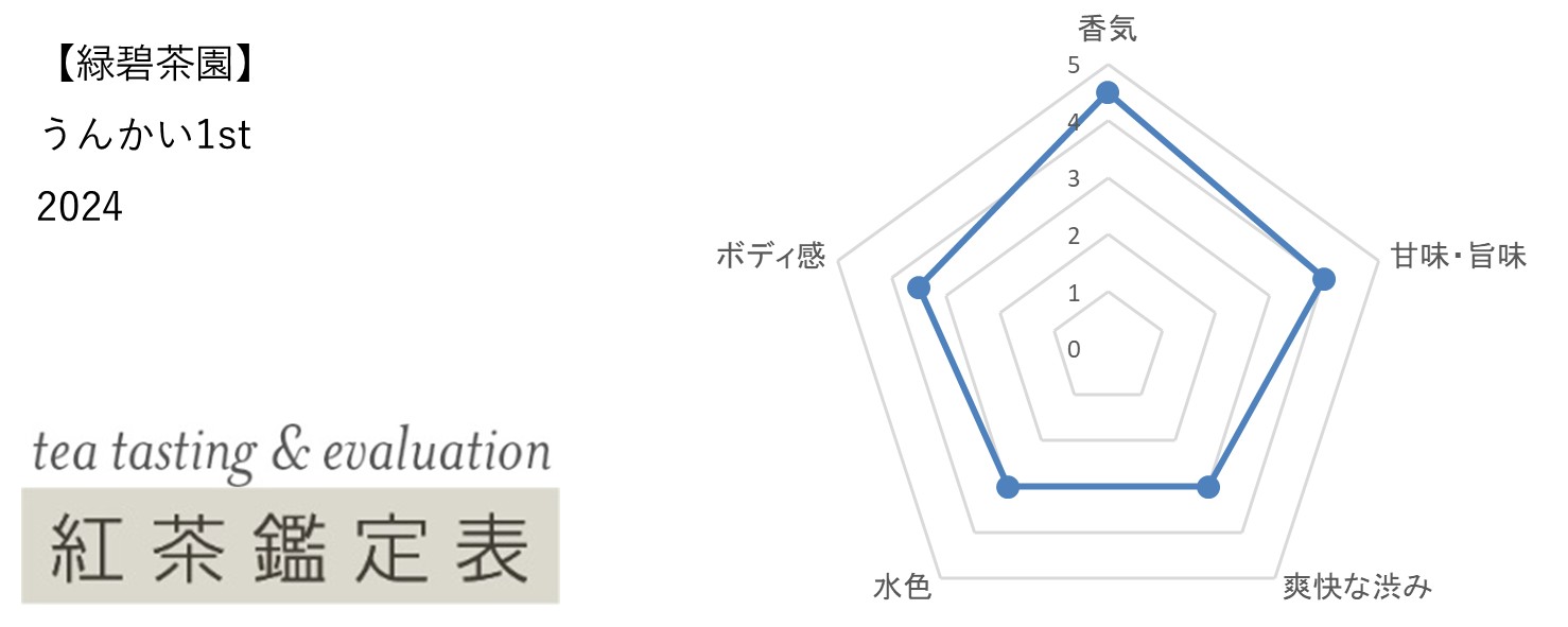 【緑碧茶園】うんかい1st 2024